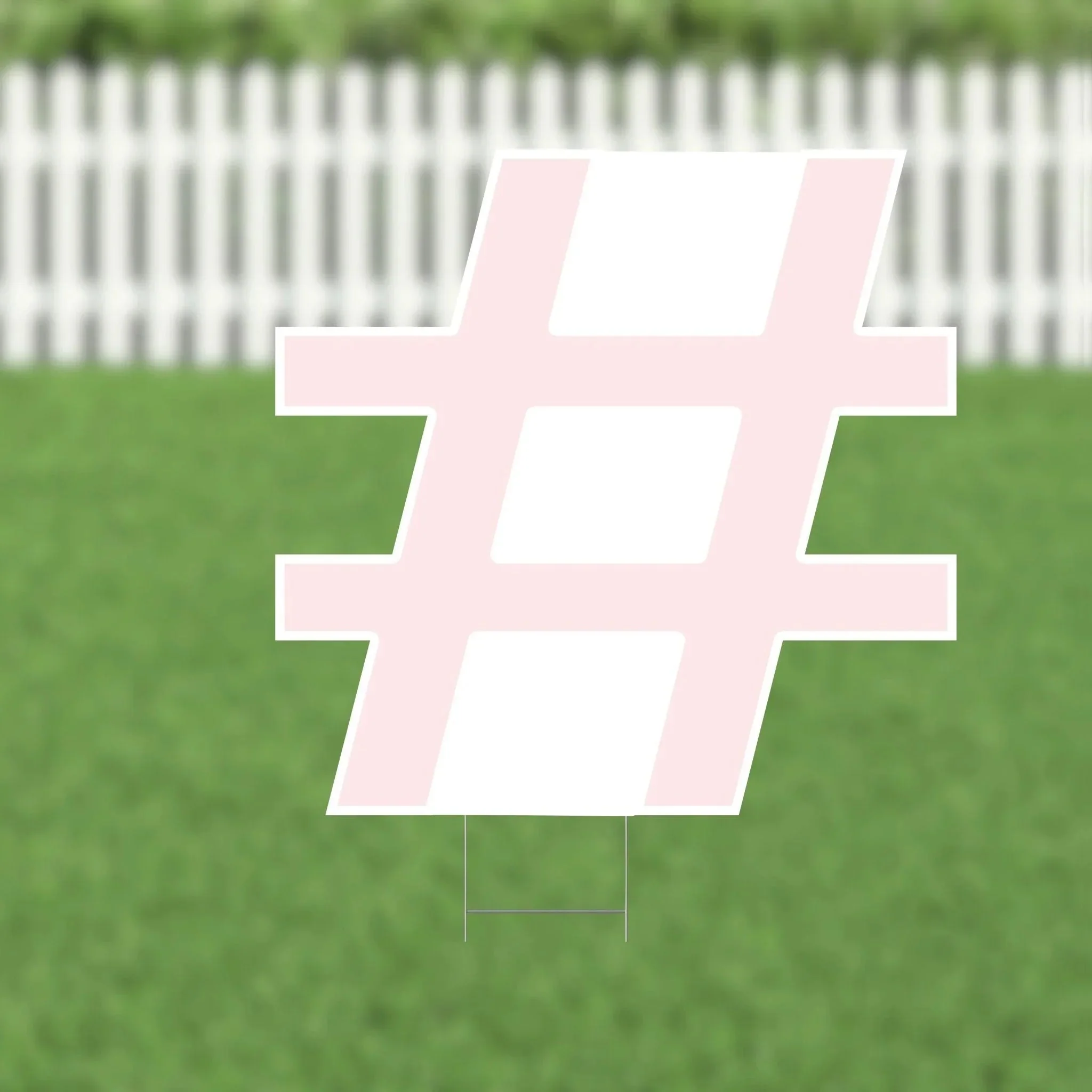 Thumbnail 15